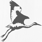 Morning Crane Healing Arts & Fitness Studios - Fitness & Instruction in San Jose