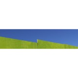 Joseph Paul Painting - Other in Cotati