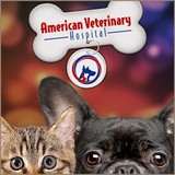 St Francis Animal Hospital - Veterinarians/Vets in Simi Valley