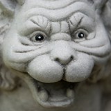 CopyDragon webwriters - marketing design services - Other in Weed