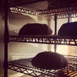 Della Fattoria Bakery & Cafe - Restaurants in Petaluma