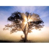 Simi Oaks Counseling Group - Counseling & Mental Health in Simi Valley