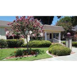 Steven C Sabbadini Law Offices - Solicitors & Lawyers in Woodland
