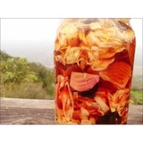 Pickle-Biotic - Other in Ojai