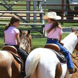 Johnny6 Stables - Other in Gilroy