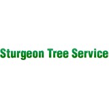 Sturgeon Tree Service - Tree Services in Santa Rosa