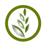 Olea Systems Inc - Web Design & Development in Campbell