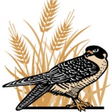 Wild Farm Alliance - Other in Watsonville