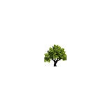 Bay Pro Landscape Services, Inc. - Landscape Architects in San Jose
