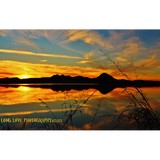 Love Long Photography - Other in Yuba City