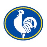 Reporter - Other in Vacaville