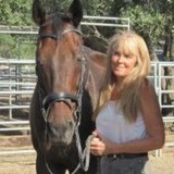 Safe Haven Horse Rescue Inc - Other in Cottonwood