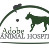 Stemwedel Yvonne DVM - Veterinarians/Vets in Petaluma