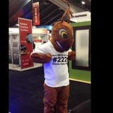 Inirus LLC - Software Development in San Jose