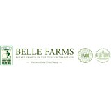 Belle Olive Oil - Other in Watsonville
