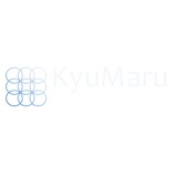 Kyumaru Pacific Alliance - Business Consulting in Cupertino