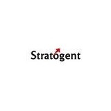 Stratogent LLC - Other in Milpitas