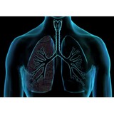 Arora Ashim MD - Other in Thousand Oaks