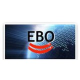 Ebo Inc - Business Consulting in San Jose