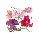 Renee's Garden - Other in Felton