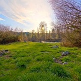 Shasta Land Service - Other in Redding