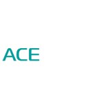 ACE Foot and Ankle Medical Center - Other in Sunnyvale