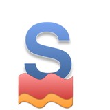 Saber Surge Inc - Other in Santa Clara