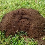 Zachary Smith Landscaping - Landscaping in Campbell