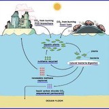 Podenergy Inc - Business Consulting in Ventura