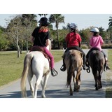 Perfect Party Ponies & More - Party Supplies in Fort Lauderdale