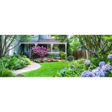 Evergreen Lawn Care of Gainesville - Lawn Services in Gainesville