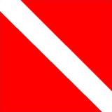 Amigos Dive Center LLC - Other in Fort White