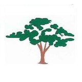 Slay's Trees - Other in High Springs