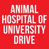 Animal Hospital Of University Drive - Veterinarians/Vets in Fort Lauderdale