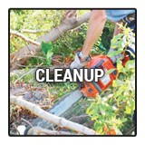 Landscape Service Pro Inc - Landscaping in Fort Lauderdale