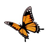 Center For Youth & Family - Marriage Counselling & Family Counselling in Fort Lauderdale
