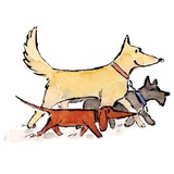 Pawpal Pet Sitting Service - House Sitting in Fort Lauderdale