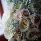 Century Florist - Florists in Hollywood