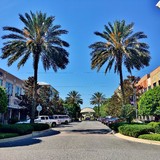 Tioga Town Center LLC - Other in Newberry