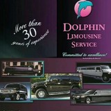 Dolphin Limousine Service - Limos in Hollywood