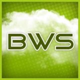 BestWebSolution - Web Design & Development in Naples