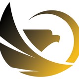 Eagle Web Design Inc - Web Design & Development in Pompano Beach