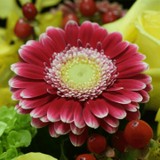 Flowers & Found Objects - Florists in Fort Lauderdale