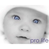 Respect Life of Hollywood - Legal Services in Hollywood