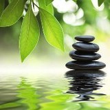Green and Clean Homes - Cleaning Services in Fort Lauderdale