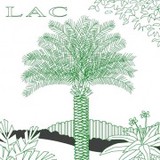Landscape Architect consultants - Landscape Architects in Fort Lauderdale