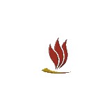 Burnt Store Golf & Activity - Golf in Punta Gorda