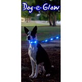 Dog E Glow - Pet Stores in Fort Lauderdale