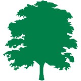 Tree Amigos Landscape Maintenance - Landscaping in Orange Park
