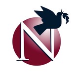 Network Support CO - Web Design & Development in Melbourne